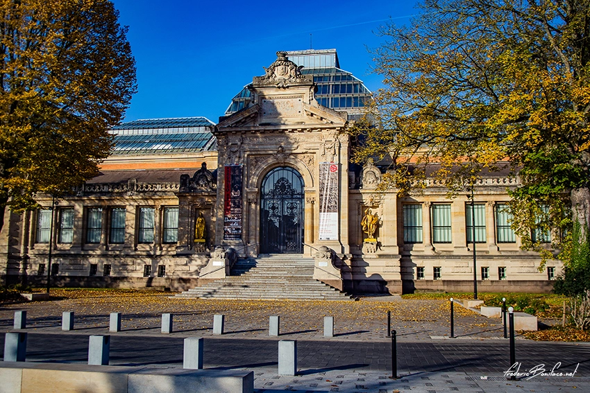 Team Building Valenciennes Top 1 activities with Coddy